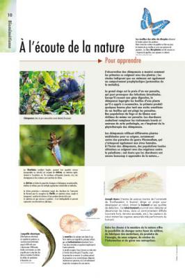 biomimetisme-10