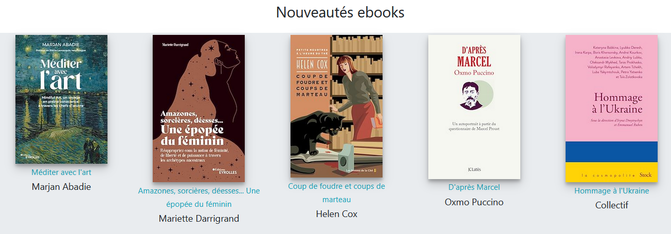 nouveautés ebook