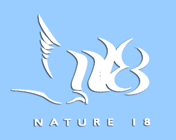nature18ok